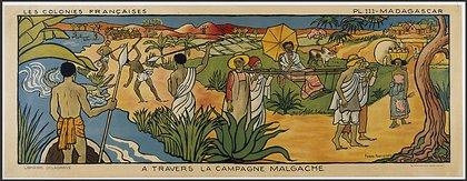 Malagasy Campaign-Large-Effect-Autolevels-21 Bourbon-Vanille aus Madagaskar