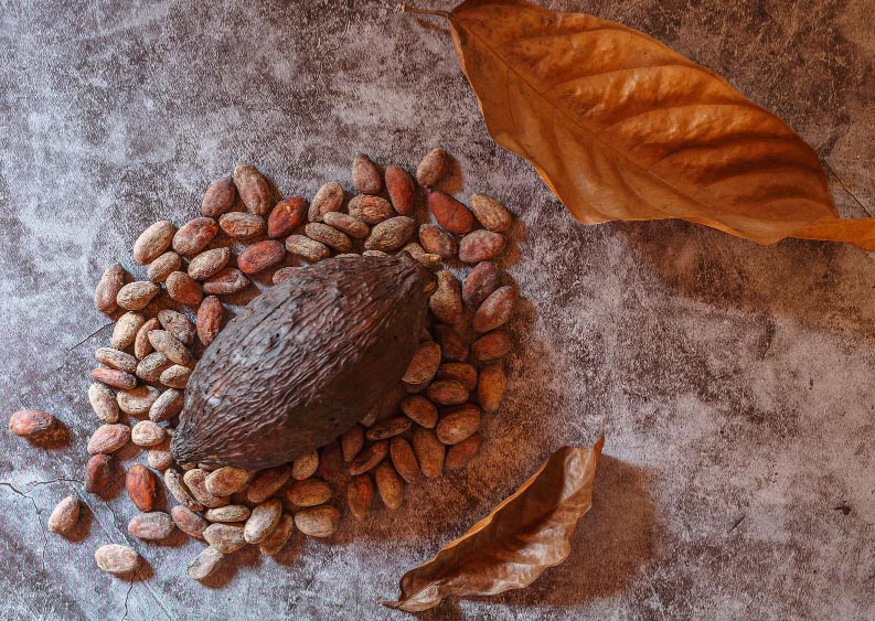 bean-of-cacaos Der Ursprung des Geschmacks: Von der Bohne bis zur Tafel, die Herstellung von Schokolade hautnah